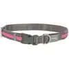 Image de Collier pour chien Kerbl Light&Reflex Gris 45/65 cm 80030