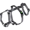 Image de Harnais pour chien Kerbl Miami Gris 38/52 cm 80040
