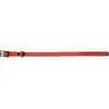 Image de Collier pour chien Kerbl Puno Orange 46/55 cm 80101
