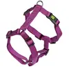 Image de Harnais pour chien Kerbl Miami Violet 55/76 cm 84359