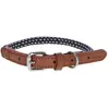 Image de Collier pour chien Kerbl Phoenix Marron 30/40 cm 80215