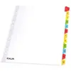 Image de Intercalaires numériques A4+ Mondoffice - en bristol - blanc - 12 divisions couleur