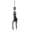 Image de Amortisseur BILSTEIN - B4 Gas BILSTEIN 19-219189 droite