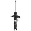 Image de Amortisseur BILSTEIN - B4 Gas BILSTEIN 22-213860 gauche