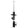 Image de Amortisseur BILSTEIN 22-260970