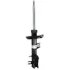 Image de Amortisseur BILSTEIN 22-263957