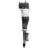 Image de Amortisseur pneumatique BILSTEIN - B4 OE Replacement (Air) BILSTEIN 44-239961 gauche