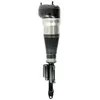 Image de Amortisseur pneumatique BILSTEIN - B4 OE Replacement (Air) BILSTEIN 44-240004 gauche