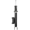 Image de Amortisseur BILSTEIN 24-278188