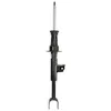 Image de Amortisseur BILSTEIN 19-276892