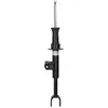 Image de Amortisseur BILSTEIN 19-287386