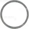 Image de Bague d'étanchéité REINZ 41-71072-00