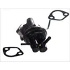 Image de Pompe à carburant HERTH+BUSS JAKOPARTS J1608000
