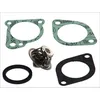 Image de Thermostat d'eau WAHLER 3021.88D50