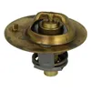 Image de Thermostat d'eau WAHLER 3119.88