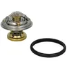 Image de Thermostat d'eau WAHLER 4176.85D