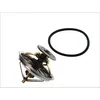 Image de Thermostat d'eau WAHLER 4235.80D