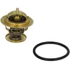 Image de Thermostat d'eau WAHLER 4253.87D