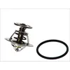 Image de Thermostat d'eau WAHLER 4264.84D
