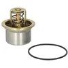 Image de Thermostat d'eau WAHLER 4621.80D