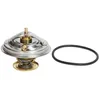 Image de Thermostat d'eau WAHLER 4237.80D