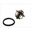 Image de Thermostat d'eau WAHLER 3100.88D