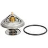Image de Thermostat d'eau WAHLER 4105.71D
