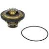 Image de Thermostat d'eau WAHLER 4174.79D