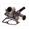Image de Thermostat d'eau WAHLER 4201.92D