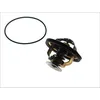 Image de Thermostat d'eau WAHLER 4174.82D