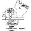 Image de Thermostat d'eau WAHLER 4833.100D