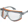 Image de Lunettes Skyguard UVEX, la paire.