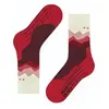 Image de Chaussettes femme Falke Tk2 Crest 39/40