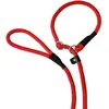 Image de Laisse pour chien retriever Nobby Pet Fun Uni Rouge 170 cm x 9 mm 79258-01