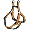 Image de Harnais pour chien Nobby Pet Classic Reflect Soft Doré S 74794-08
