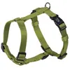 Image de Harnais pour chien Nobby Pet Classic Vert M/L 73167-41