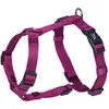 Image de Harnais pour chien Nobby Pet Classic Violet 2XS 73164-64