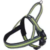 Image de Harnais norvégien pour chien Nobby Pet Variado Jaune L 80612-24