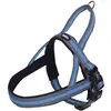 Image de Harnais norvégien pour chien Nobby Pet Variado Bleu L/XL 80613-32