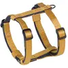 Image de Harnais pour chien Nobby Pet Classic Preno Mini Orange 2XS/S (30/40 cm) 80664-04
