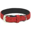 Image de Collier pour chien Nobby Pet Velours Rouge 47 cm x 25 mm 80904-01