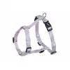 Image de Harnais pour chien Nobby Pet Classic Violet 2XS 73164-44