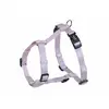 Image de Harnais pour chien Nobby Pet Classic Violet L/XL 73168-44