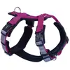 Image de Harnais pour chien Nobby Pet Daily Walk Comfort Violet XL 80451-64