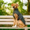 Image de Manteau pour chien Nobby Pet Sela Vert 60 cm 51472