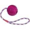 Image de Balle en caoutchouc avec corde pour chien Nobby Pet Violet 7,5 cm 62382