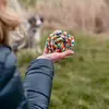 Image de Jouet pour chien ballon avec des cordes Nobby Pet Multicolore 5 cm 79324