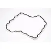 Image de Joint de carter d'huile ELRING 655.420