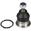 Image de Rotule de suspension MOOG HO-BJ-10953