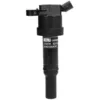 Image de Bobine d'allumage BORG WARNER (BERU) ZS478